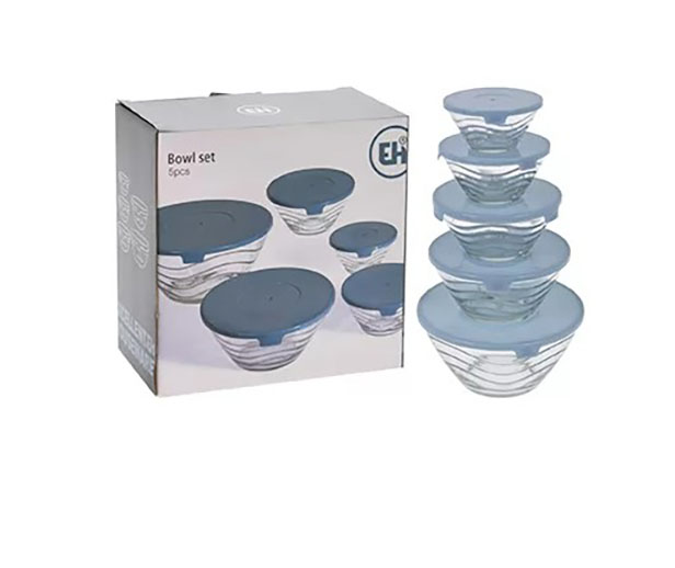 Home Basics 5 Piece Glass Bowl Set with Plastic Colorful Lids